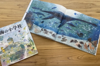 とば。海の図書室の絵本の画像